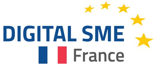 Digital SME Logo1 1 544x227